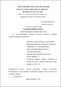 Ескіз